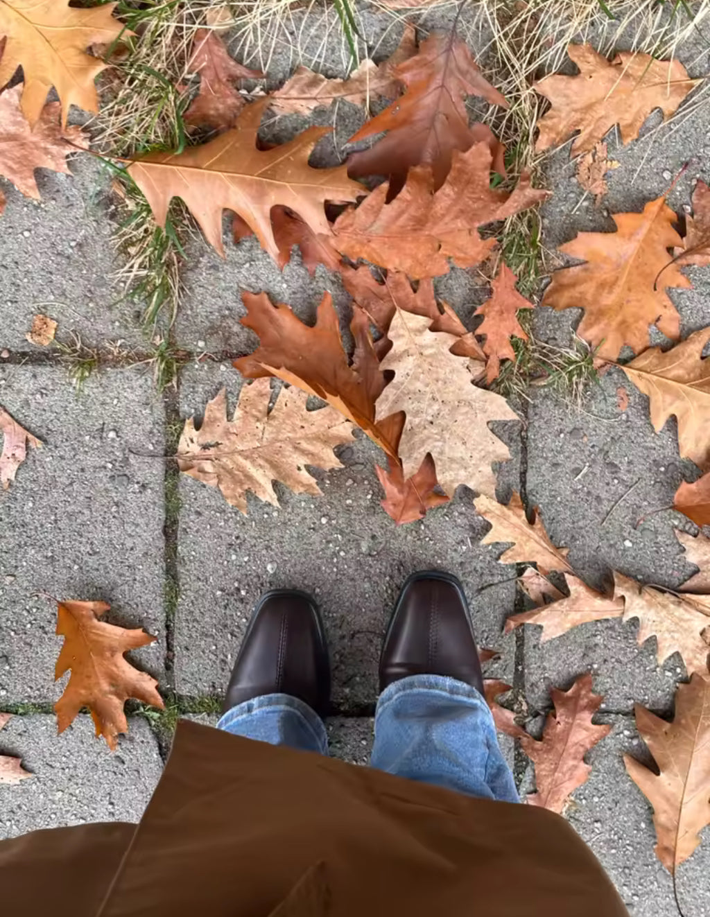 מגפי קרלה – עקב עבה ונוחות אלגנטית